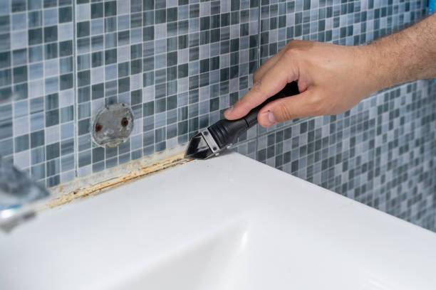 Best Residential Mold Remediation in Magnolia, TX