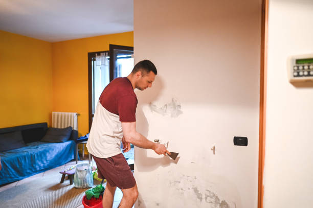 Best Bathroom Mold Remediation in Magnolia, TX